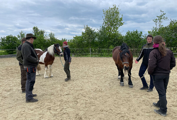 Die Teilnehmer mit den Pferden auf dem Reitplatz