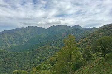 Landschaftsfoto von einer bewaldeten Bergkette in Japan