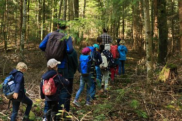 Die Teilnehmer laufen durch den Wald