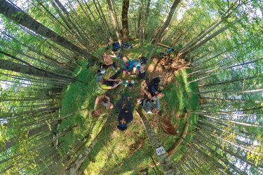 Blick von oben auf die Teilnehmergruppe im Wald