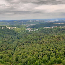 Blick auf den Stuttgarter Wald 