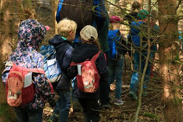 Die Teilnehmer laufen durch den Wald