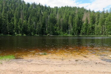 Blick auf den Wildsee in der Kernzone im Nationalpark Schwarzwald