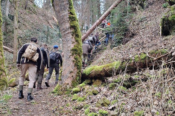 Studierende wandern auf einem schmalen Wanderweg durch den Wald
