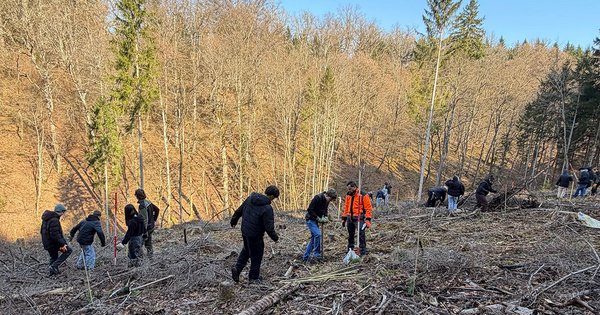 Schüler beim Bepflanzen einer Kahlfläche
