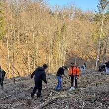 Schüler beim Bepflanzen einer Kahlfläche