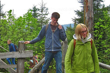 Studierende wandern auf einem Bohlenpfad durch eine Windwurffläche