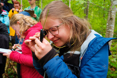 Bei einer Bestimmungsübung im Wald betrachtet eine Studentin einen Grashalm durch die Lupe