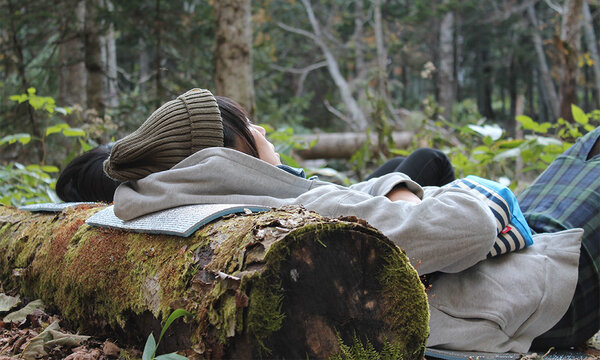 Erholungssuchende liegen auf einer Liegematte im Wald