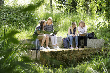Studierende im Arboretum der Hochschule Rottenburg