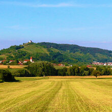 Blick auf den Spitzberg vom Neckartal aus