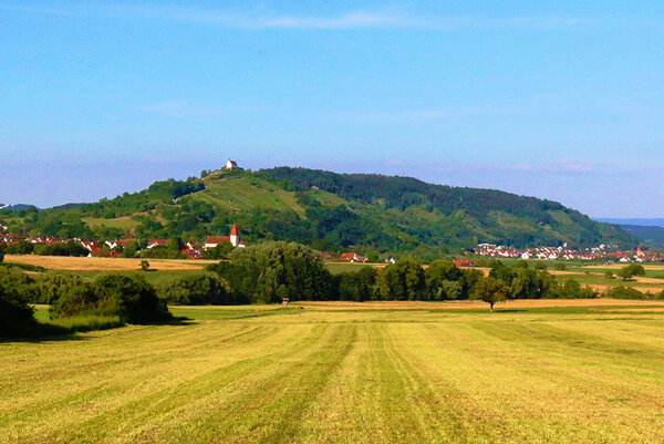 Blick auf den Spitzberg vom Neckartal aus