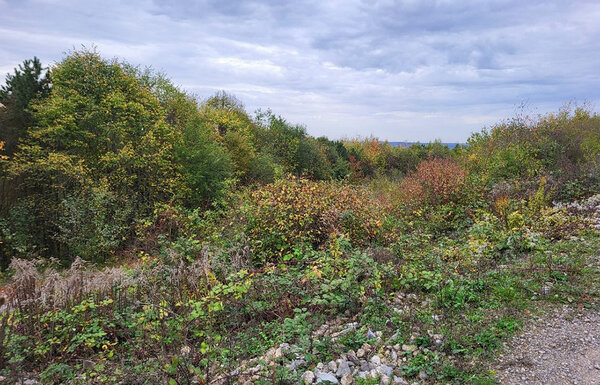 Blick auf einen rekultivierten Deponiekörper mit Übergang zur Waldsaumbepflanzung