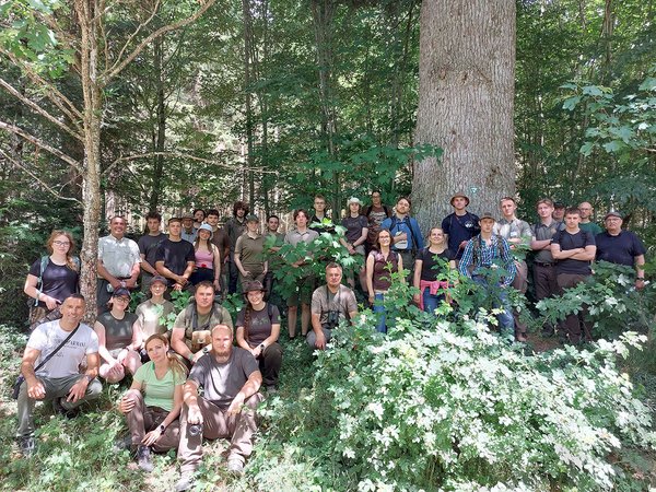Gruppenfoto der Teilnehmer vor der Methusalem-Weißtanne