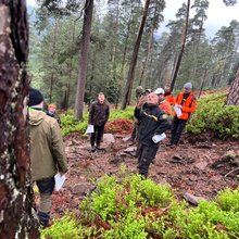 Studierende stehen im Wald und hören den Referenten zu