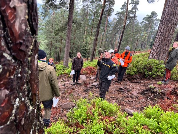 Studierende stehen im Wald und hören den Referenten zu