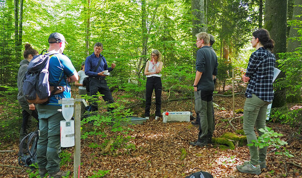 Prof. steht mit Studierenden im Wald und referiert