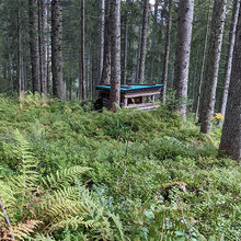 Ein Bodensitz steht versteckt im Wald