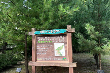 Infotafel aus Holz im Wald