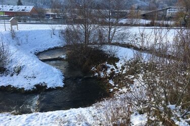 Umgehungsgewässer am Kraftwerk Hausen