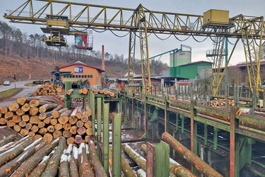 Blick auf das Sägewerksgelände