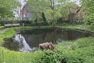 Teich