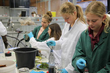 4 Schülerinnen stehen gemeinsam an einem Tisch im Labor und experimentieren mit Biomasse