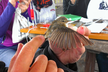 Student hält einen Vogel in der Hand