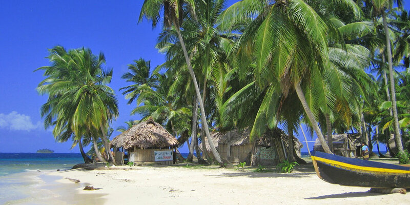 Palmen am Strand - Guna Yala