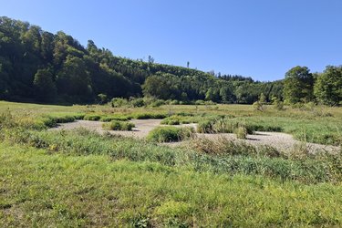 Blick über ein Tal mit ausgetrocknetem Fluss