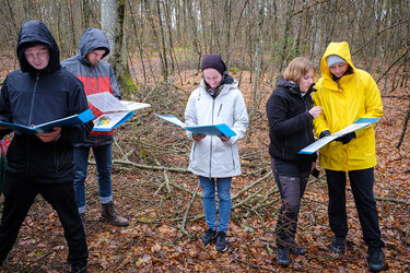 Studierende stehen im Wald und lesen sich Unterlagen in einem blauen Ordner durch