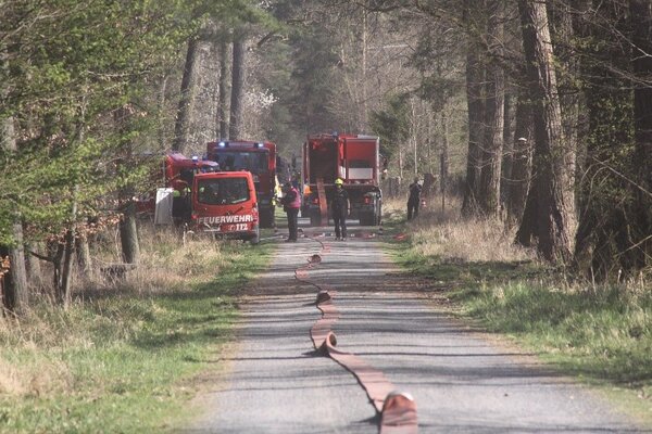 Ein ausgerollter Feuerwehrschlauch liegt auf einem Waldweg. Im Hintergrund stehen Feuerwehrautos im Wald