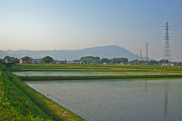 Studium in Japan