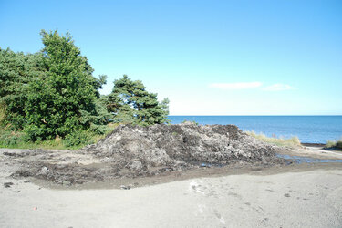 Mulde aus Sand und Treibsel