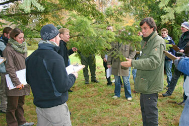 Professor erläutert die Bestimmung von Zweigen im Winterszustand im Arboretum