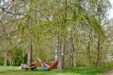 Student in Hängematte im Arboretum