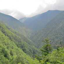 Blick auf bewaldete Täler und Berge in den Karpaten