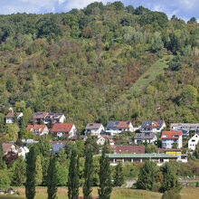 Blick auf ehemalige Weinbergflächen, von denen nur noch wenige offen gehalten werden