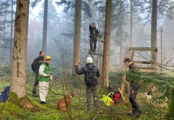 Studierende im Wald an einem Hochsitz