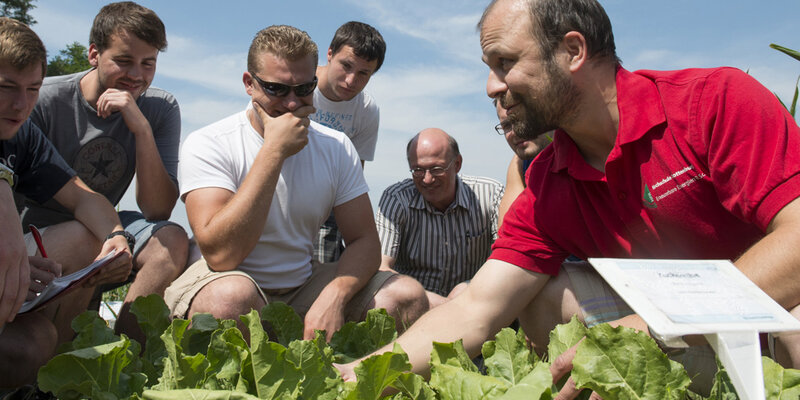 Ein Professor bestimmt zusammen mit Studierenden Kulturpflanzen im landwirtschaftlichen Lehrgarten der Hochschule Rottenburg. 