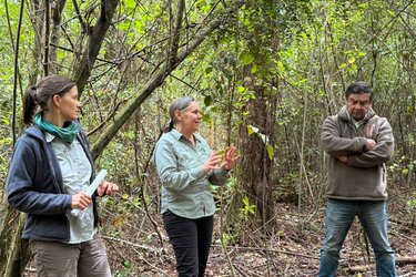 Referentin und Workshop-Teilnehmer stehen im Wald