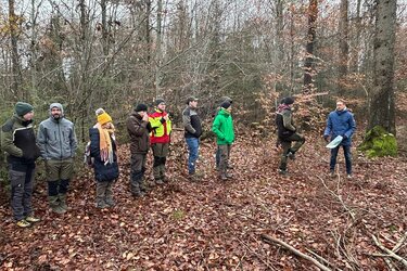 Ein Ersatzhabitat für den Waldlaubsänger wird vorgestellt.