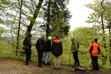 Eine Gruppe Studierende steht im Wald an einer mit Drahtseilen gesicherten Hangkante