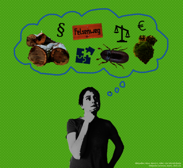 Eine Studentin denkt (Denkblase) an die Studieninhalte: Holz, Käfer, §, Euro, Moose und vieles mehr