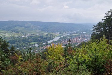 Blick von oben auf das Flusstal mit Fluss, Wald und Weinbergen