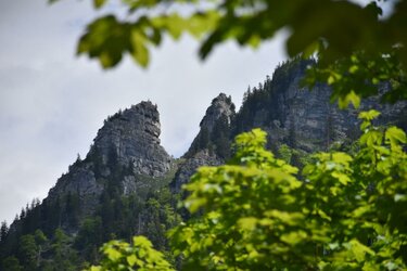 Bergkulisse mit Felsen des Dürrenstein Massiv