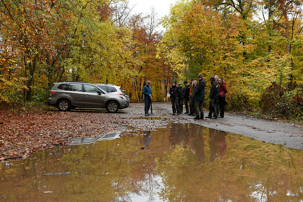 Die Projektgruppe steht auf einem Waldparklatz zusammen und bespricht sich.