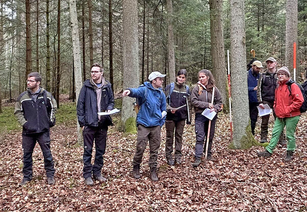 HFR-Studierende diskutieren Alternativen für die Beratung der Eigentümerin dieses kleinen Waldflurstücks.