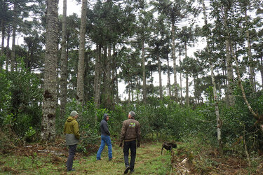 Teilnehmer laufen durch den Wald