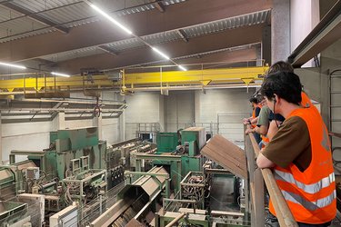 Studierende stehen im Sägewerk und schauen der Produktion zu